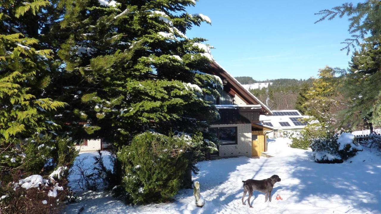 Ferienwohnung Wiesenblick Mit Terrasse Im Landhaus Fischer Sankt Andreasberg Esterno foto