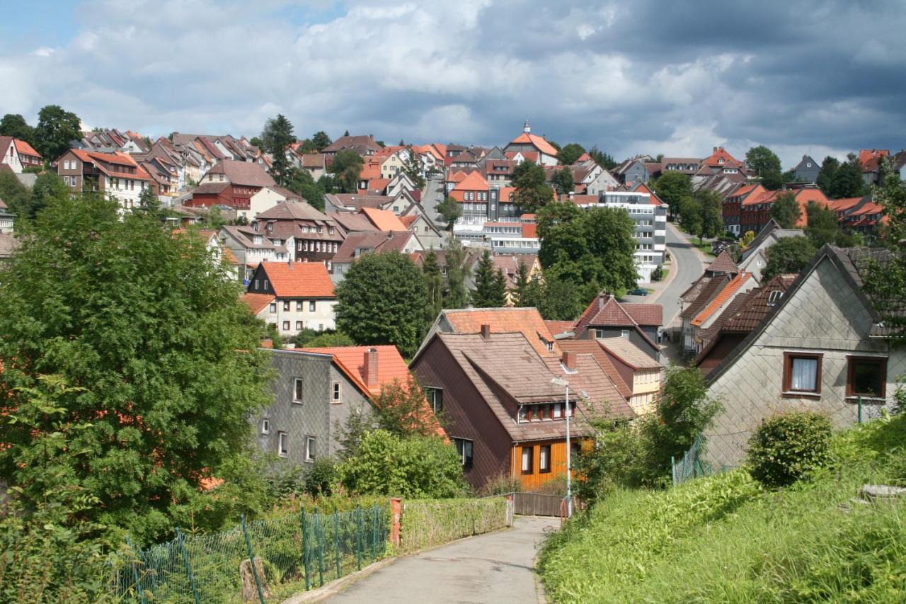 Ferienwohnung Wiesenblick Mit Terrasse Im Landhaus Fischer Sankt Andreasberg Esterno foto